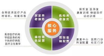 智慧养老 护理型床位的网络技术服务设置指南